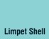 Limpet Shell
