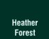 Heather Forest Green