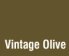 Vintage Olive