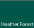 Heather Forest