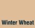 Winter Wheat