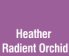 Heather Radiant Orchid