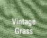 Vintage Grass