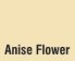 Anise Flower